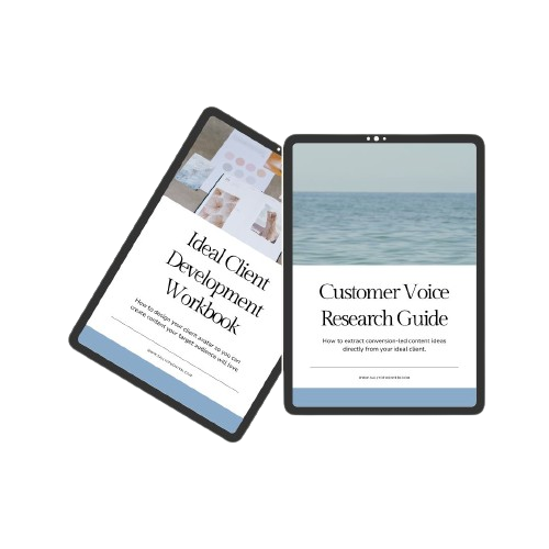 The 2-in-1 Ideal Client Handbook to do effective customer voice research.